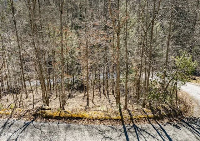 Photo 4 of Land for sale at 274 Cove Holw Rd, Cosby, TN 37722 | MLS# 1344333 | Listing updated on 2026-09-14