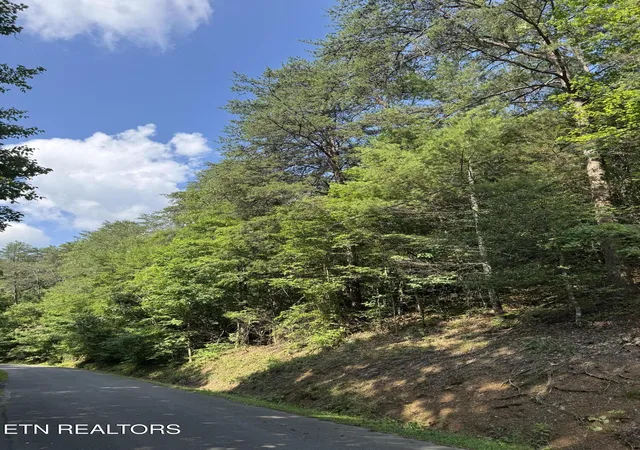 4th image of Lot 23 Walden Ridge Rd, Sevierville, TN 37862 | MLS# 1346176