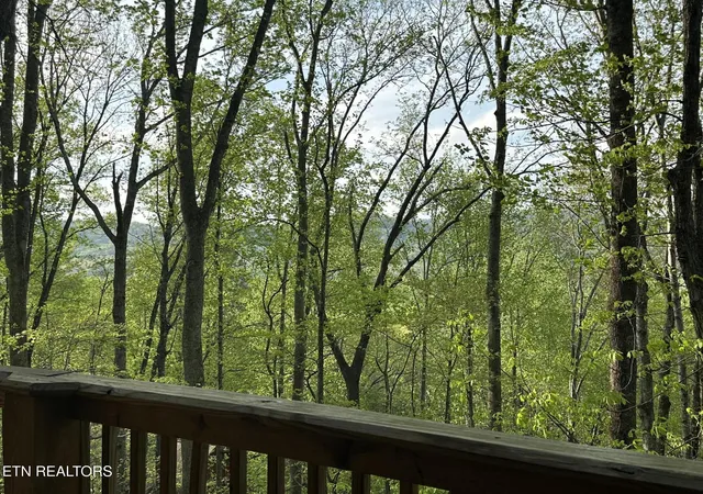 Photo 3 of Single family home for sale at 4080 Ole Smoky Way, Sevierville, TN 37862 | MLS# 1344073 | Listing updated on 2026-06-10