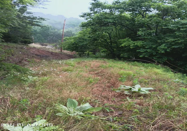 Homes for sale in Mooresburg, TN | Tbd Hwy 31, Mooresburg, TN 37811 | MLS# 1344093