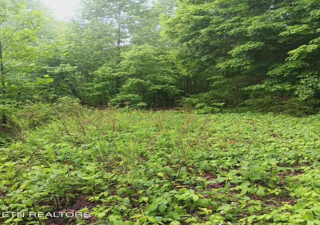 Homes for sale in Mooresburg, TN | Tbd Hwy 31, Mooresburg, TN 37811 | MLS# 1344093