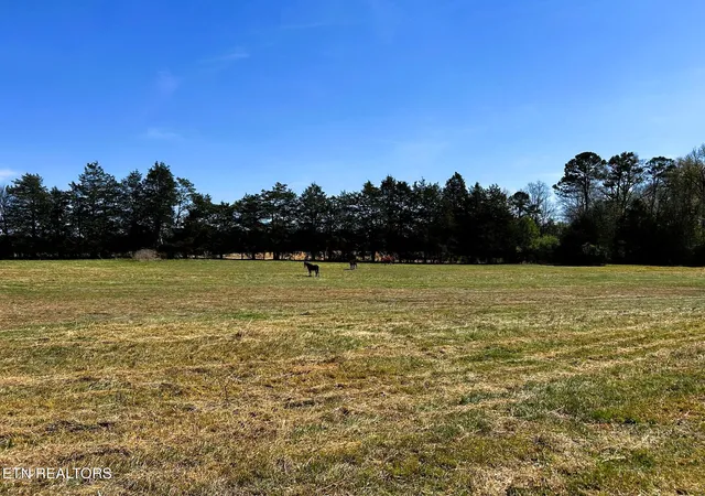 Photo 2 of Sale Pending at 175 Acres County Rd 571, Englewood, TN 37329 | MLS# 1344109 | Listing updated on 2026-09-18