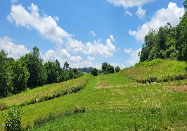 2nd image of 151 Rolen Rd, New Tazewell, TN 37825 | MLS# 1344222