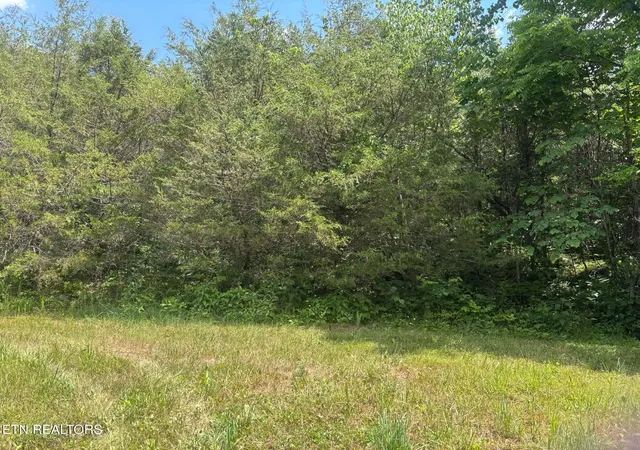 Homes for sale in Sneedville, TN | 00 Mulberry Gap Rd, Sneedville, TN 37869 | MLS# 1344326
