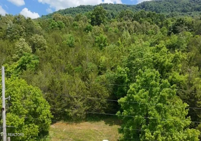 Homes for sale in Sneedville, TN | 00 Mulberry Gap Rd, Sneedville, TN 37869 | MLS# 1344326
