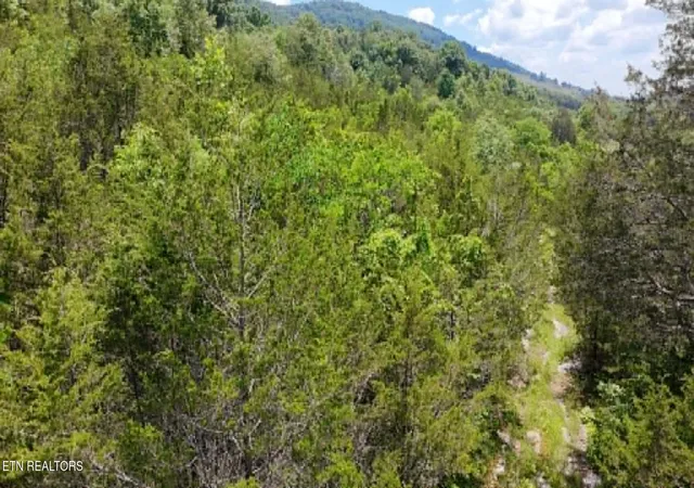 Homes for sale in Sneedville, TN | 00 Mulberry Gap Rd, Sneedville, TN 37869 | MLS# 1344326