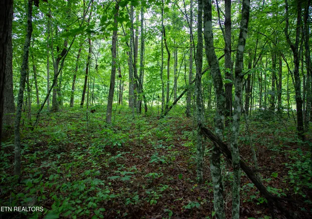 Photo 1 of Land for sale at 0 Lot 6 Cumberland Lakes Dr, Monterey, TN 38574 | MLS# 1344495 | Listing updated on 2026-09-28