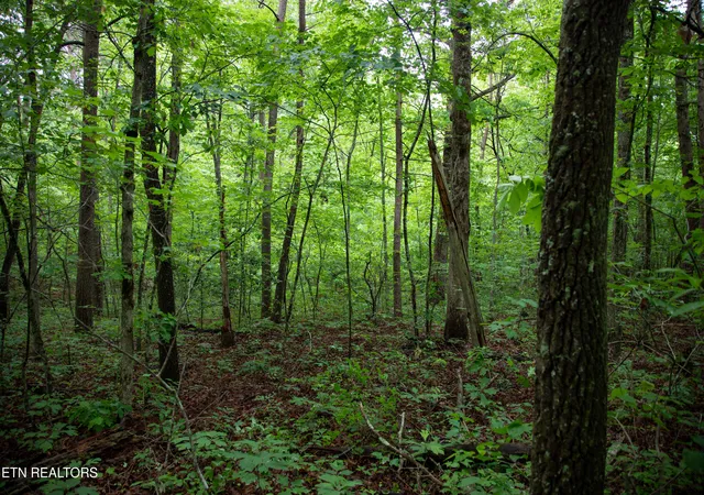 Photo 2 of Land for sale at 0 Lot 6 Cumberland Lakes Dr, Monterey, TN 38574 | MLS# 1344495 | Listing updated on 2026-09-28