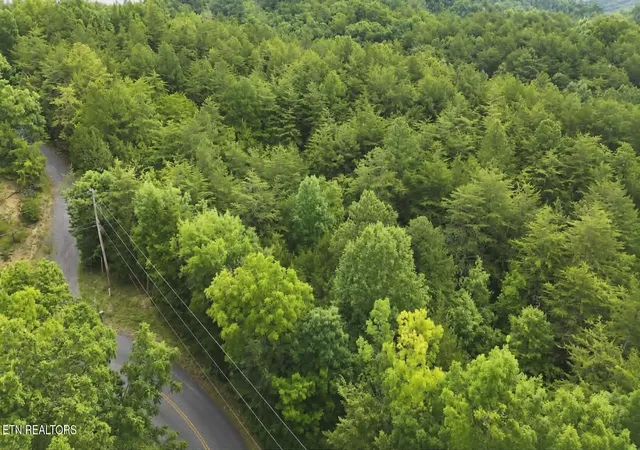 Homes for sale in Dandridge, TN | Buck Horn Rd, Dandridge, TN 37725 | MLS# 1344340