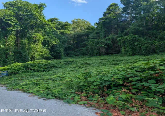 Homes for sale in Middlesboro, KY | 1577 Beans Fork Rd, Middlesboro, KY 40965 | MLS# 1344334