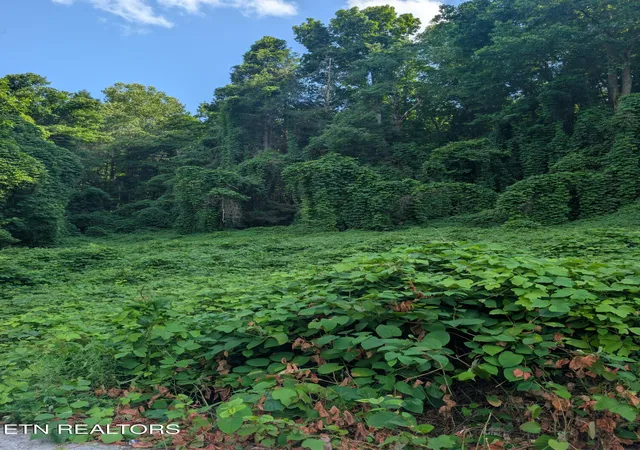 Homes for sale in Middlesboro, KY | 1577 Beans Fork Rd, Middlesboro, KY 40965 | MLS# 1344334