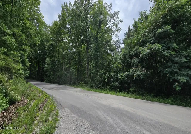 Homes for sale in Winfield, TN | Lot 48 49 Bear Creek Rd, Winfield, TN 37892 | MLS# 1344567