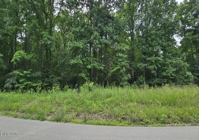 Homes for sale in Winfield, TN | Lot 48 49 Bear Creek Rd, Winfield, TN 37892 | MLS# 1344567