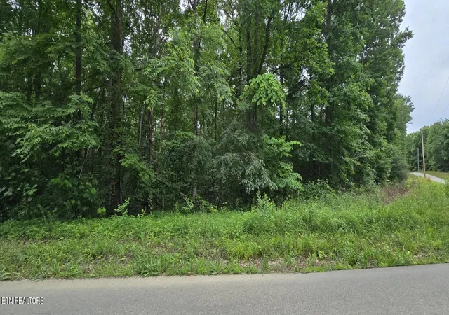 Homes for sale in Winfield, TN | Lot 48-49 Bear Creek Rd, Winfield, TN 37892 | MLS# 1344567
