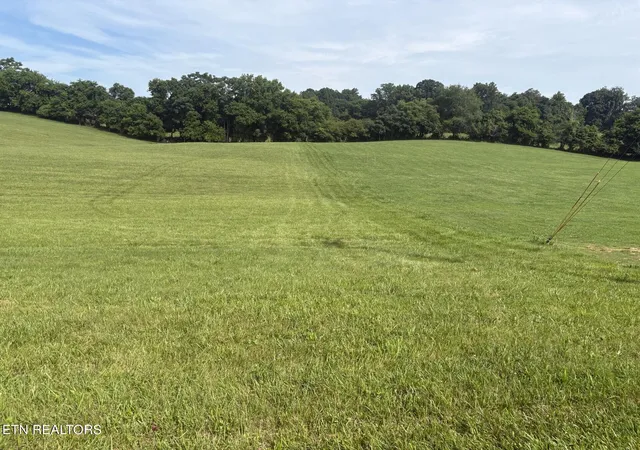 Photo 2 of Land for sale at Holston River Dr, Rutledge, TN 37861 | MLS# 1344449 | Listing updated on 2026-06-12