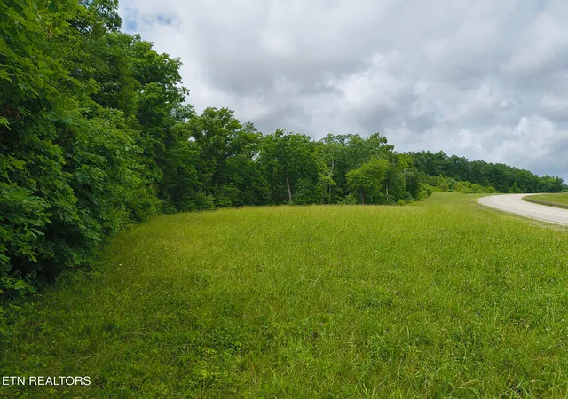 Homes for sale in Robbins, TN | Rugby Hwy 52, Robbins, TN 37852 | MLS# 1344401