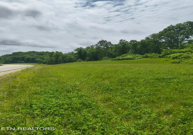 Homes for sale in Robbins, TN | Rugby Hwy 52, Robbins, TN 37852 | MLS# 1344401