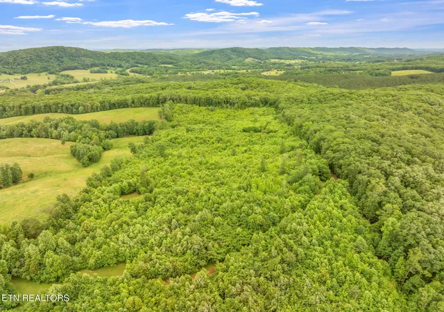 34th image of 0 Grigsby Hollow Rd, Kingston, TN 37763 | MLS# 1344624