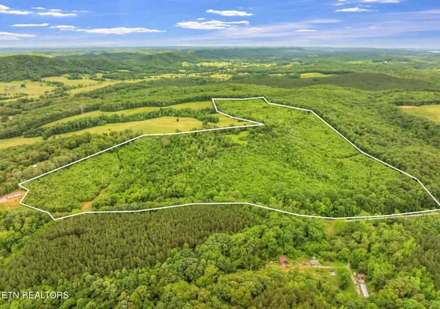 Photo 3 of Land for sale at 0 Grigsby Holw Rd, Kingston, TN 37763 | MLS# 1344624 | Listing updated on 2026-08-26