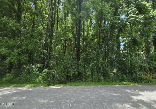 Homes for sale in Oneida, TN | Shady Ln, Oneida, TN 37841 | MLS# 1344779