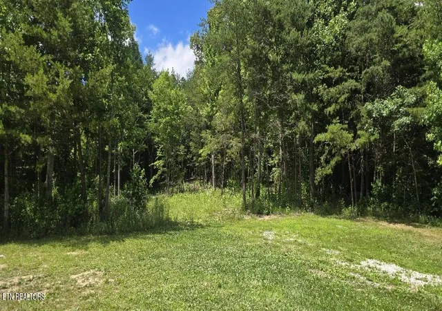 Homes for sale in Huntsville, TN | 425 Anderson Hollow Rd, Huntsville, TN 37756 | MLS# 1344740