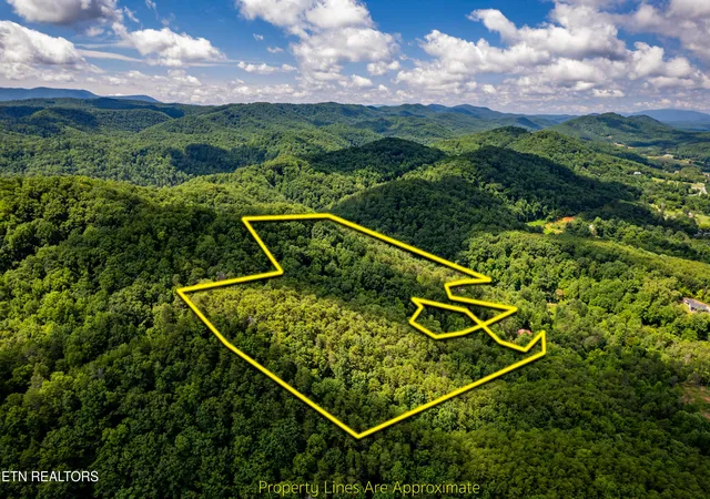 1st image of 154 Poplar Road Rd, Tellico Plains, TN 37385 | MLS# 1345784