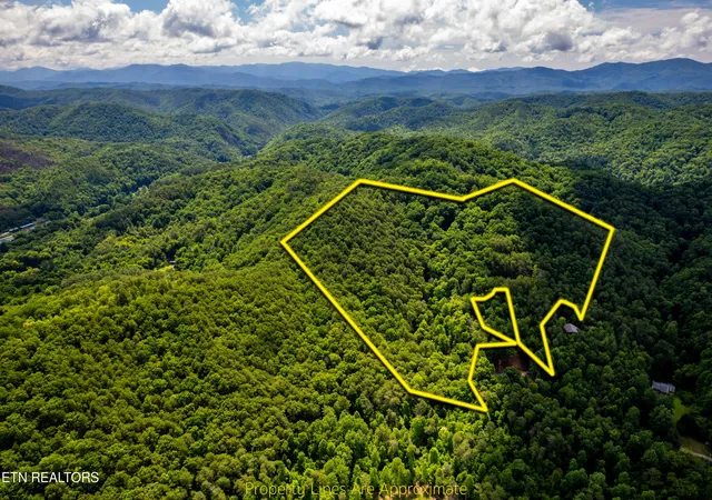 3rd image of 154 Poplar Road Rd, Tellico Plains, TN 37385 | MLS# 1345784