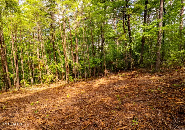 5th image of 154 Poplar Road Rd, Tellico Plains, TN 37385 | MLS# 1345784