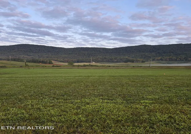 Homes for sale in Speedwell, TN | 6165 Hwy 63, Speedwell, TN 37870 | MLS# 1344589