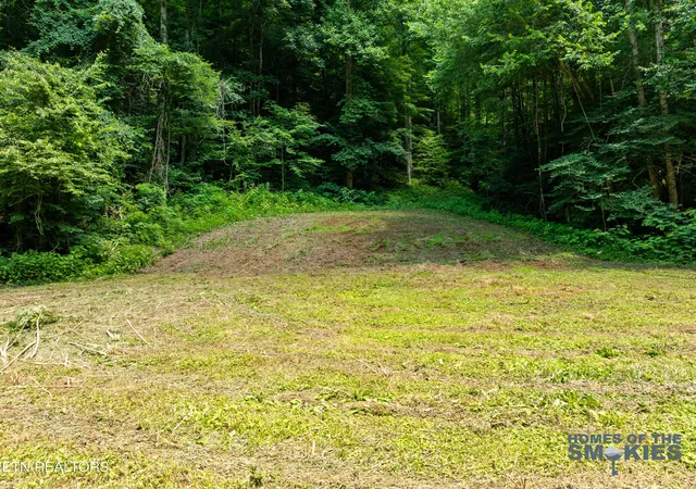 1st image of Tbd Lot 1 Carrs Creek Rd, Townsend, TN 37882 | MLS# 1344609