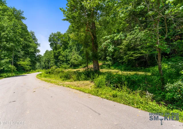 3rd image of Tbd Lot 1 Carrs Creek Rd, Townsend, TN 37882 | MLS# 1344609