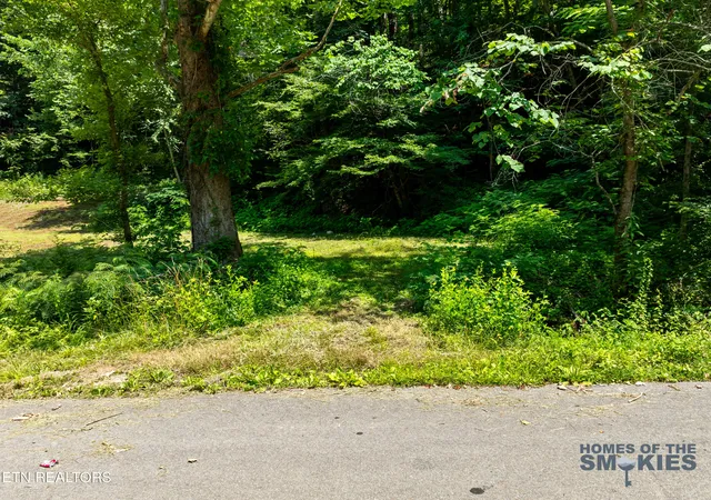 4th image of Tbd Lot 1 Carrs Creek Rd, Townsend, TN 37882 | MLS# 1344609
