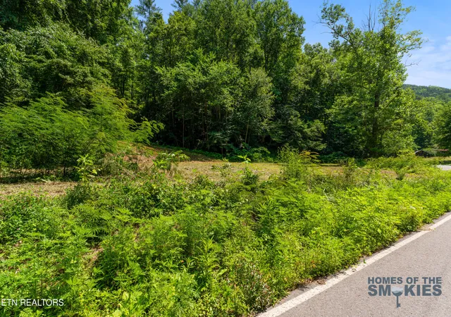 5th image of Tbd Lot 1 Carrs Creek Rd, Townsend, TN 37882 | MLS# 1344609