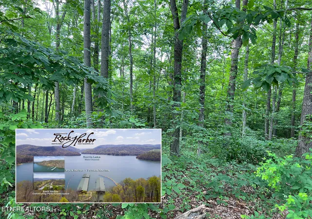 Homes for sale in New Tazewell, TN | Lot 240 Tanzanite Tr, New Tazewell, TN 37825 | MLS# 1344627