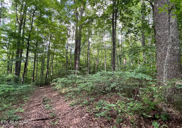 Homes for sale in New Tazewell, TN | Lot 240 Tanzanite Tr, New Tazewell, TN 37825 | MLS# 1344627