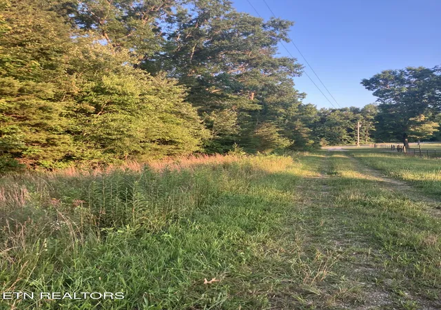 Homes for sale in Pikeville, TN | Lot 10 Holly Dr, Pikeville, TN 37367 | MLS# 1344623