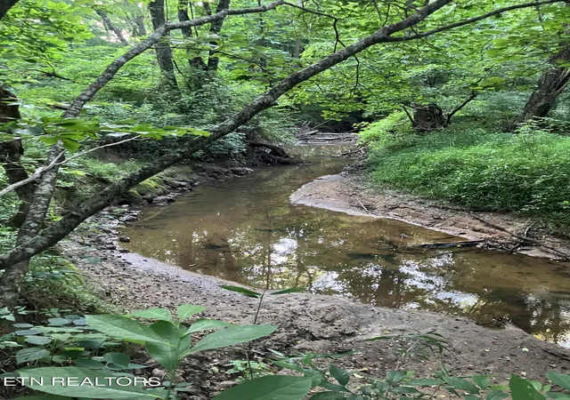 Homes for sale in Pikeville, TN | Lot 10 Holly Dr, Pikeville, TN 37367 | MLS# 1344623