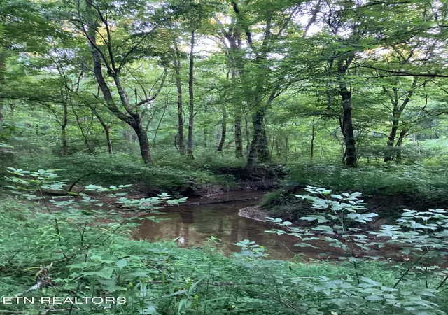 Homes for sale in Pikeville, TN | Lot 10 Holly Dr, Pikeville, TN 37367 | MLS# 1344623