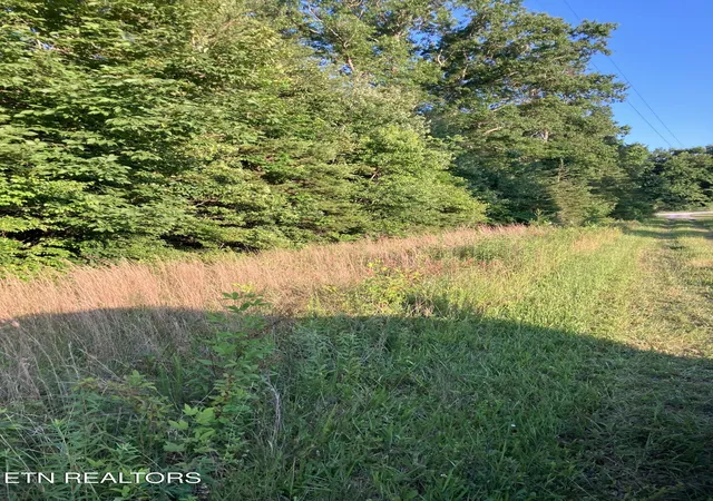 Homes for sale in Pikeville, TN | Lot 10 Holly Dr, Pikeville, TN 37367 | MLS# 1344623