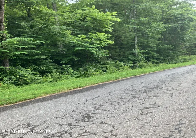 12th image of Tract 4 3 Point Rd, Vonore, TN 37885 | MLS# 1344639