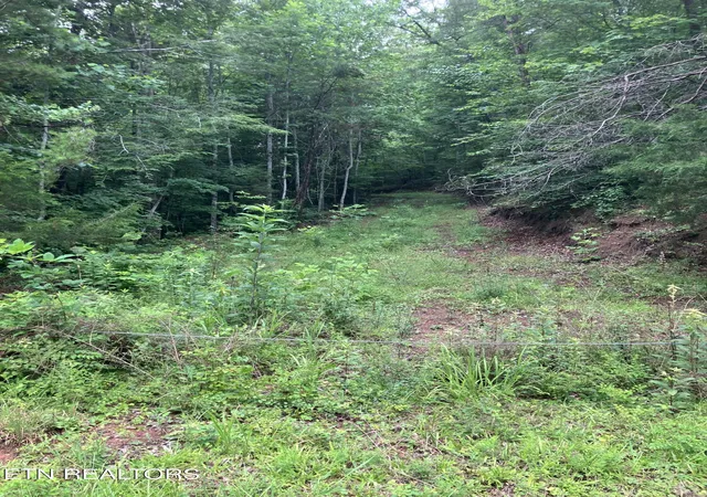 2nd image of Tract 4 3 Point Rd, Vonore, TN 37885 | MLS# 1344639