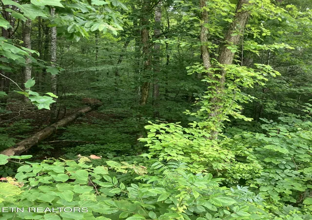 3rd image of Tract 4 3 Point Rd, Vonore, TN 37885 | MLS# 1344639