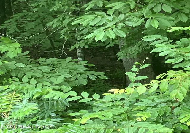 4th image of Tract 4 3 Point Rd, Vonore, TN 37885 | MLS# 1344639