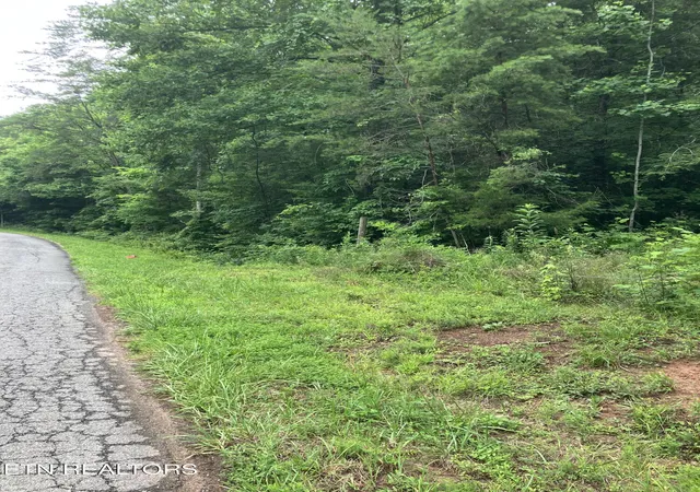 5th image of Tract 4 3 Point Rd, Vonore, TN 37885 | MLS# 1344639