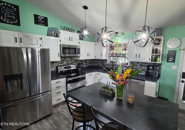 Homes for sale in New Tazewell, TN | 220 Michal Ln, New Tazewell, TN 37825 | MLS# 1344640
