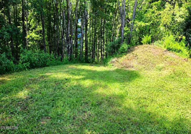 Photo 1 of Land for sale at 183 Persimmon Ln, Pioneer, TN 37847 | MLS# 1344659 | Listing updated on 2026-09-21