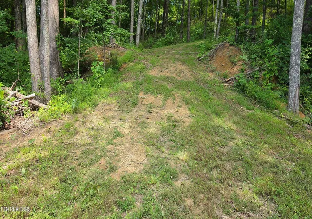 Photo 2 of Land for sale at 183 Persimmon Ln, Pioneer, TN 37847 | MLS# 1344659 | Listing updated on 2026-09-21