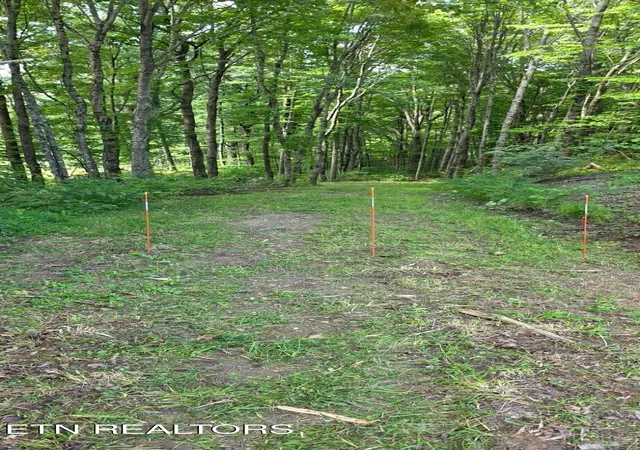 Photo 3 of Land for sale at 183 Persimmon Ln, Pioneer, TN 37847 | MLS# 1344659 | Listing updated on 2026-09-21