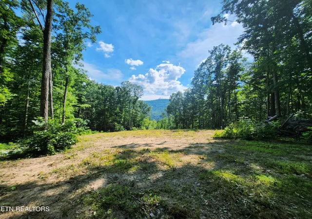 Homes for sale in Pioneer, TN | 183 Persimmon Ln, Pioneer, TN 37847 | MLS# 1344659