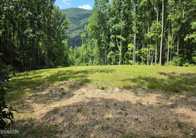 Photo 3 of Land for sale at 183 Persimmon Ln, Pioneer, TN 37847 | MLS# 1344659 | Listing updated on 2026-09-21
